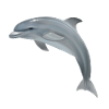 Süßer Delfin