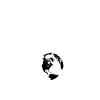 Birds aren't real
