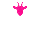 Chèvre amour billy chèvre
