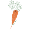 veggie nerd