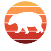 Bear wild animal