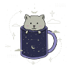 Cat in a Galaxy cup
