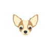 Chihuahua Mama Engl