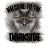 Maine Coon cat