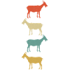 Ziege Ziegenbock Bunt