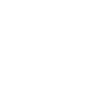 digital native