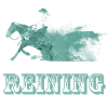 reining western riding