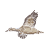 Physics expert