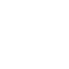 AI developer