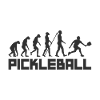 Pickleball Evolution