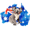 Cute koala in Australia