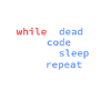 informatik entwickler coding programmierer