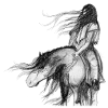 cheval indien