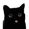 Bleep