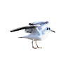I BELIEVE I CAN FLY