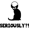 Funny Cat Gaming Chat Cat