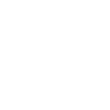 Chien Terre-Neuve pattes coeur cadeau