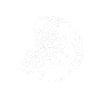 Spider Earth B&W