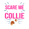 collie