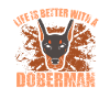 Doberman
