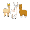 Alpaca Lama