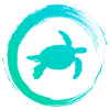 sea turtle