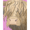 Pink Highland Cow Illustration