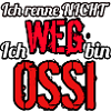 Ossi