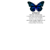 Butterfly Effect Definition