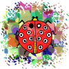 Ladybug