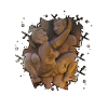 Position 12