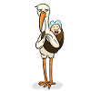 Cigogne avec bébé