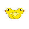 Yellow baby chicks