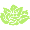 salade 27