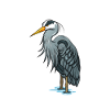 Graureiher-Reiher-Vogel-Vogelbeobachtungs-Geschenk