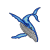 Whale