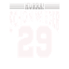 Another 29th 30th birthday