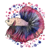 Fish Fish animals