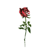 My Love Rose by ART8NS