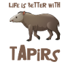 tapir