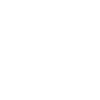 tapir
