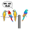 wlan unter Papageien
