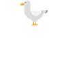 Vos gueules les mouettes