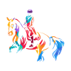 dressage