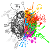 Brain halves functions