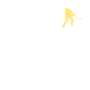 Ice hockey evolution