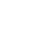 Lagotto Romagnolo