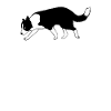Mantrailing team dog owners