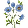 Blue flowers