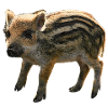 Piglet, Piggy